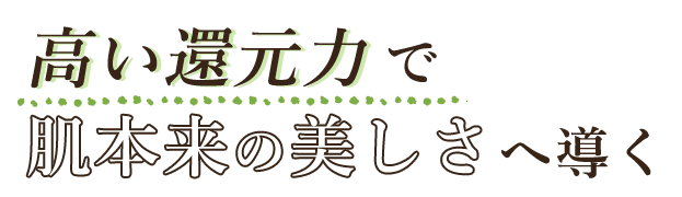 高い還元力の力